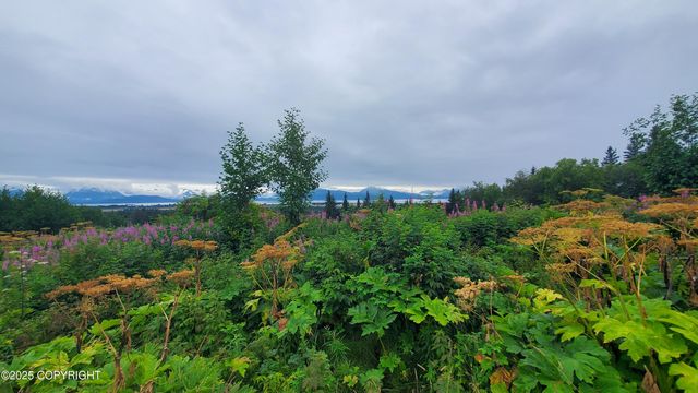 4615 Craftsman Road, Homer, AK 99603