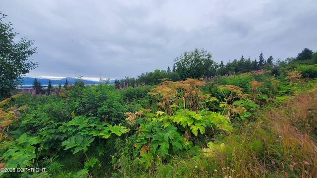 4615 Craftsman Road, Homer, AK 99603