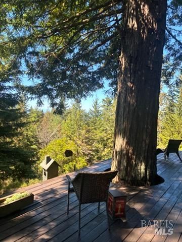 34924 Tock Ln, Gualala, CA 95445