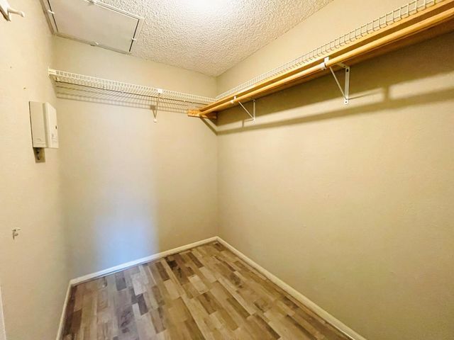 2800 Jeanetta Street 1702, Houston, TX 77063