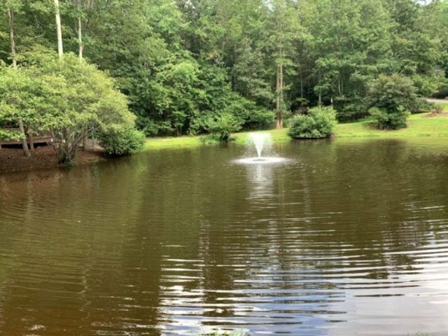 249 Owl Ridge Way, Jasper, GA 30143