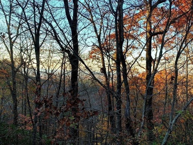 249 Owl Ridge Way, Jasper, GA 30143