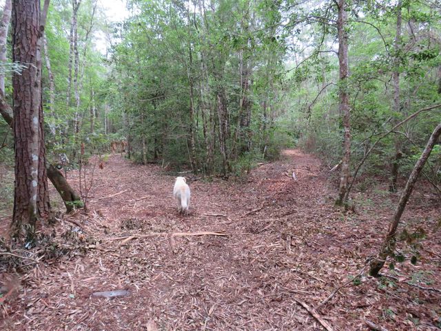 T.B.D. Finnell Rd., Little River, SC 29566
