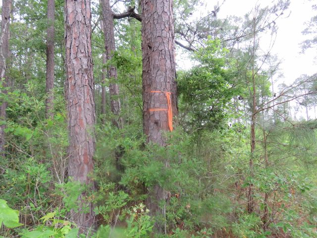 T.B.D. Finnell Rd., Little River, SC 29566
