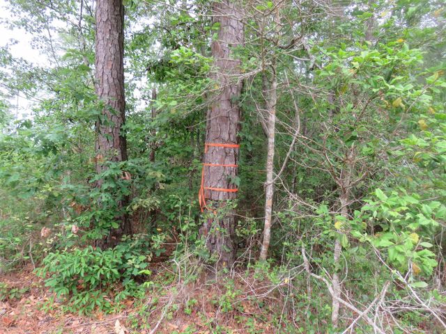 T.B.D. Finnell Rd., Little River, SC 29566