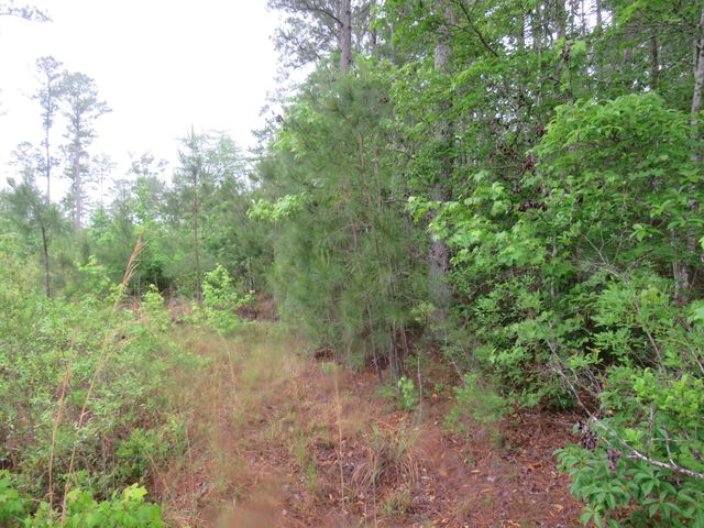 T.B.D. Finnell Rd., Little River, SC 29566