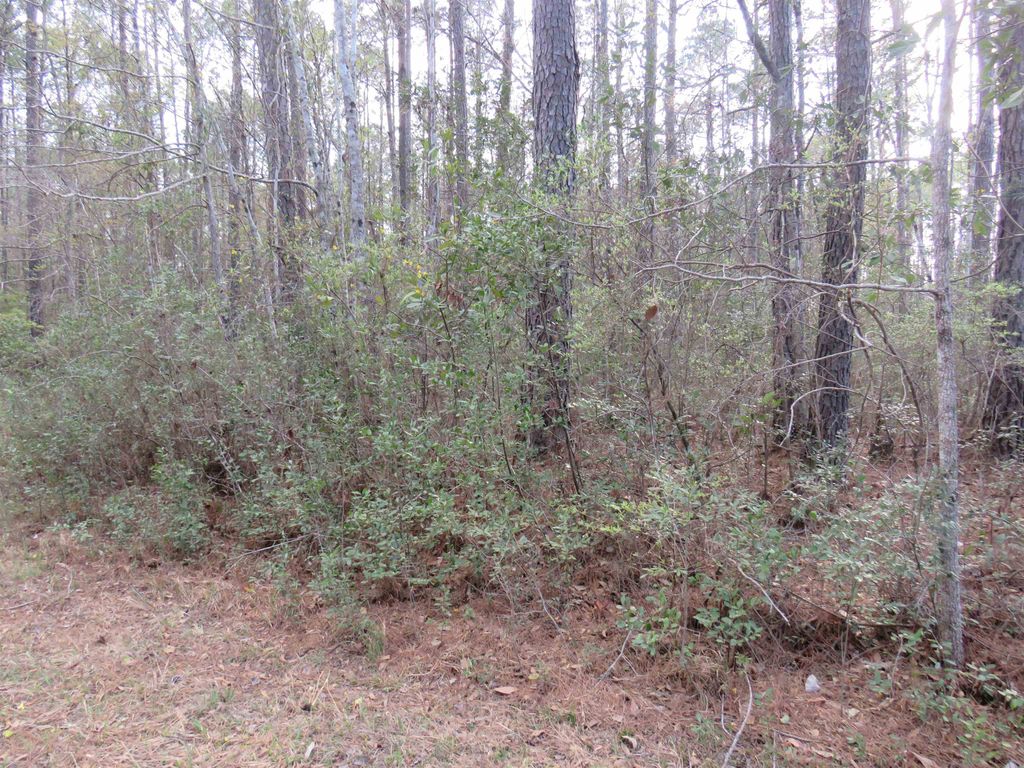 T.B.D. Finnell Rd., Little River, SC 29566