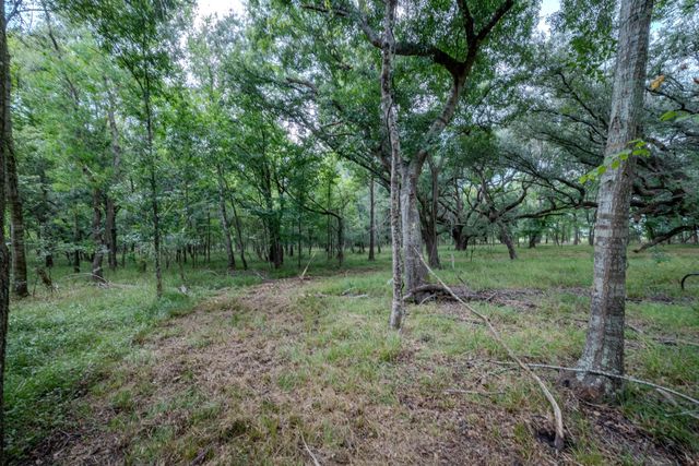 Tract 3 Charlie Meyer Road, Damon, TX 77430
