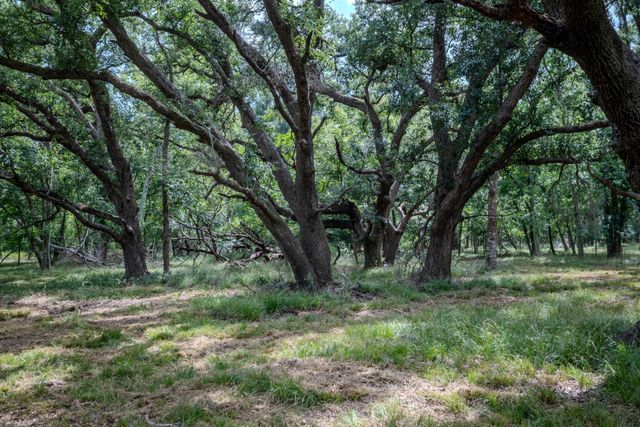 Tract 3 Charlie Meyer Road, Damon, TX 77430