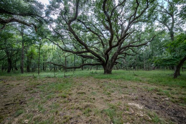 Tract 3 Charlie Meyer Road, Damon, TX 77430