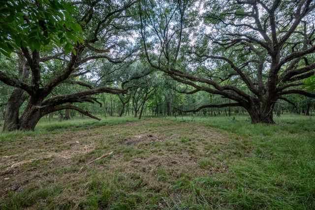Tract 3 Charlie Meyer Road, Damon, TX 77430