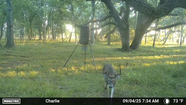Tract 3 Charlie Meyer Road, Damon, TX 77430