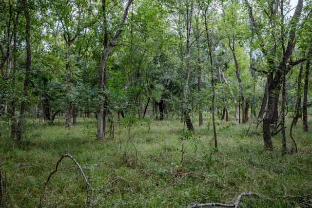 Tract 3 Charlie Meyer Road, Damon, TX 77430