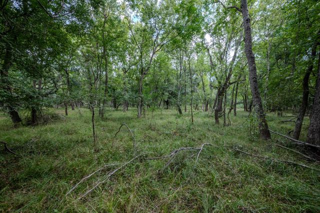 Tract 3 Charlie Meyer Road, Damon, TX 77430