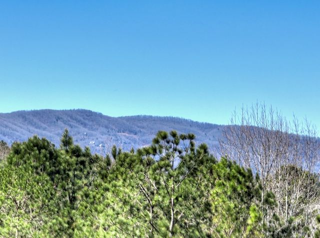 229-A Crossroads Church Road, Ellijay, GA 30540