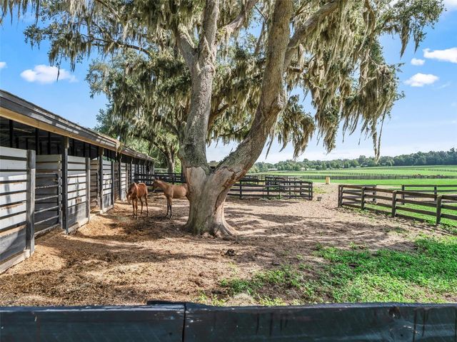 15351 SE 57TH TERRACE, Summerfield, FL 34491