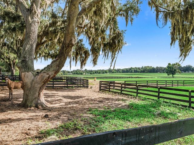 15351 SE 57TH TERRACE, Summerfield, FL 34491