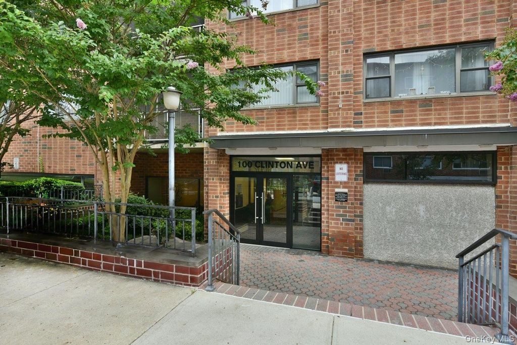 100 Clinton Avenue 4N, Mineola, NY 11501 — photo 2