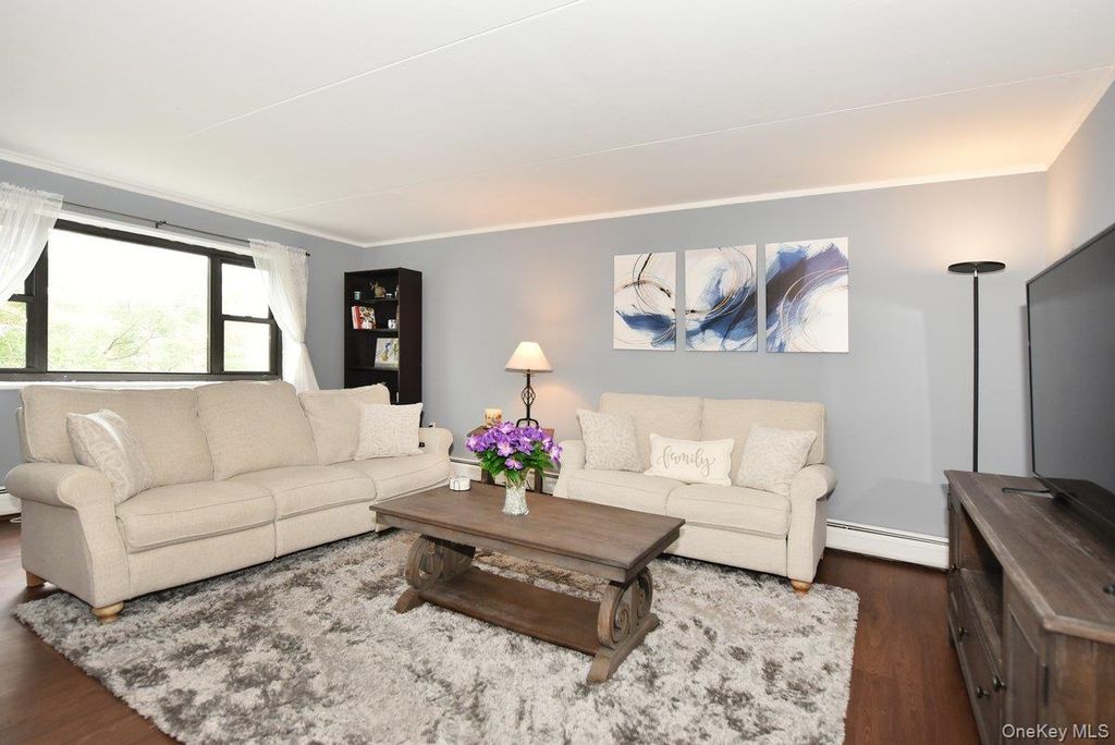 100 Clinton Avenue 4N, Mineola, NY 11501 — photo 3