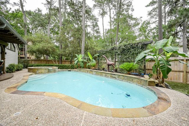 31 Gannet Hollow Place, The Woodlands, TX 77381