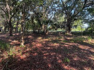 0 CAMP MACK ROAD, Lake Wales, FL 33898