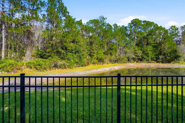 31720 MARCHESTER DRIVE, Wesley Chapel, FL 33543