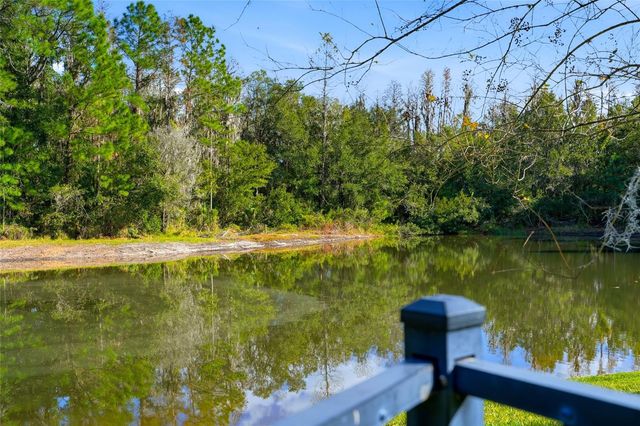 31720 MARCHESTER DRIVE, Wesley Chapel, FL 33543