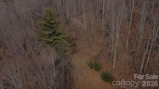 000 Wild Turkey Pen Road, Bakersville, NC 28705