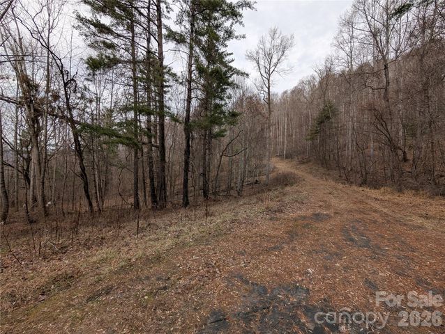 000 Wild Turkey Pen Road, Bakersville, NC 28705