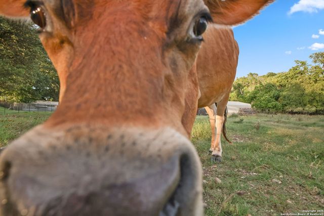 319 Los Indios, Boerne, TX 78006