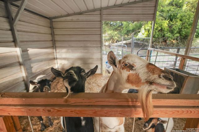 319 Los Indios, Boerne, TX 78006