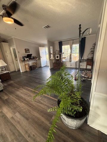 15594 NE 233RD PLACE, Fort Mc Coy, FL 32134