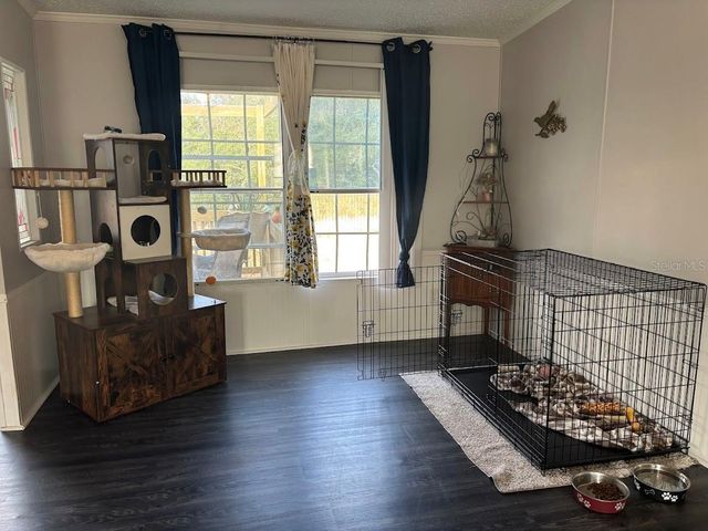 15594 NE 233RD PLACE, Fort Mc Coy, FL 32134