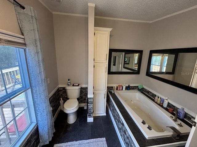 15594 NE 233RD PLACE, Fort Mc Coy, FL 32134