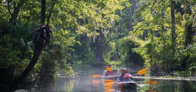 15594 NE 233RD PLACE, Fort Mc Coy, FL 32134