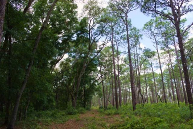 15594 NE 233RD PLACE, Fort Mc Coy, FL 32134