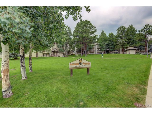 29656 Buffalo Park Rd 209, Evergreen, CO 80439