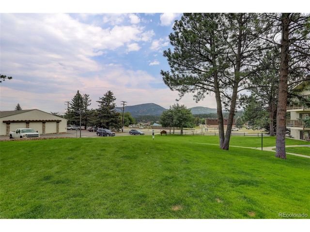 29656 Buffalo Park Rd 209, Evergreen, CO 80439