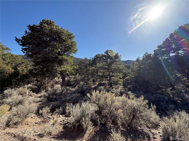 2045 Pfotenhaur Rd, Fort Garland, CO 81133