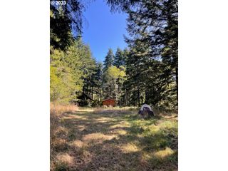 89798 MEDOHILL Ln, Bandon, OR 97411