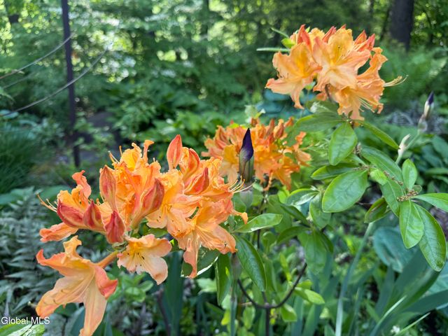 17 Ten Springs Drive, Saratoga Springs, NY 12866