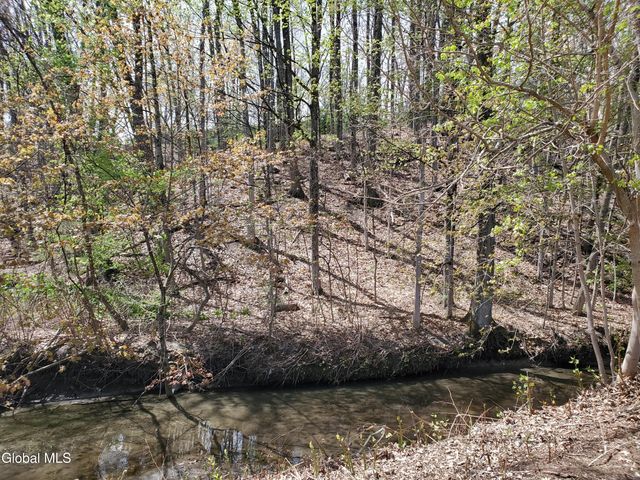 17 Ten Springs Drive, Saratoga Springs, NY 12866