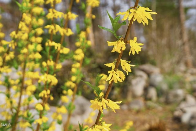 798 Horizon Drive, Pittsboro, NC 27312