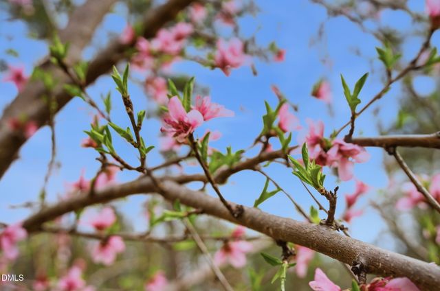 798 Horizon Drive, Pittsboro, NC 27312