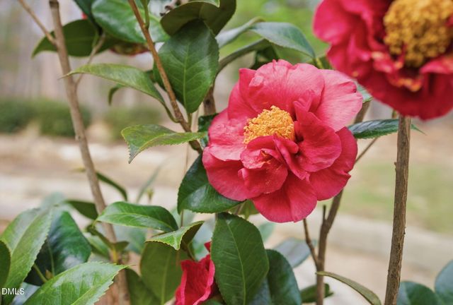 798 Horizon Drive, Pittsboro, NC 27312