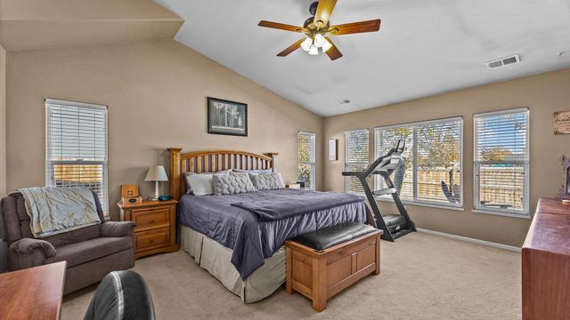 668 Silver Plume Drive, Fruita, CO 81521