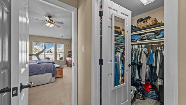 668 Silver Plume Drive, Fruita, CO 81521