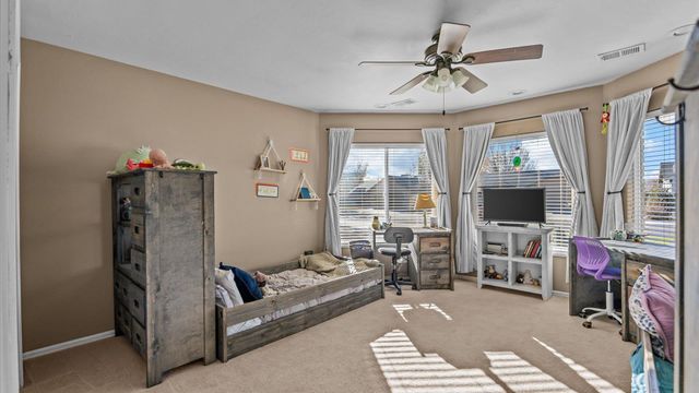 668 Silver Plume Drive, Fruita, CO 81521