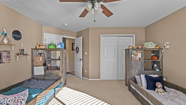 668 Silver Plume Drive, Fruita, CO 81521