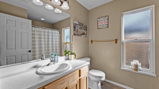 668 Silver Plume Drive, Fruita, CO 81521